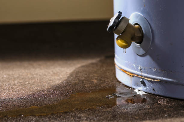 Best Flood restoration services  in Wylie, TX