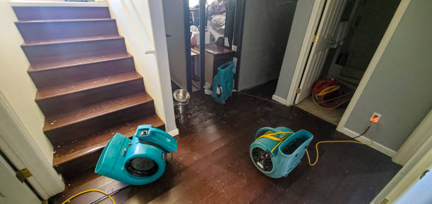 Best Water damage cleanup near me  in Wylie, TX