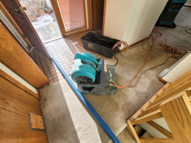 Best 24-hour water damage restoration  in Wylie, TX
