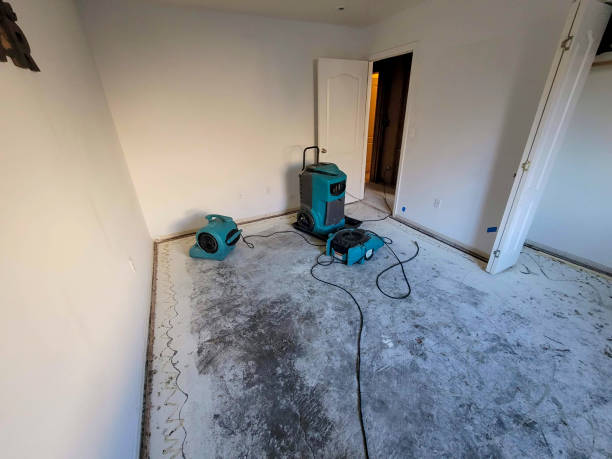 Best Commercial water damage restoration  in Wylie, TX