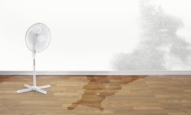 Best 24/7 water damage repair  in Wylie, TX