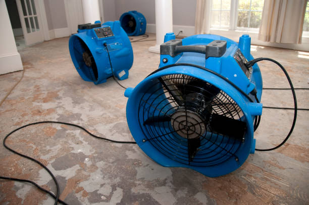 Water damage restoration process in Wylie, TX