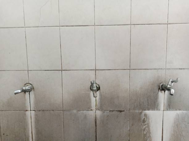 Best Flood restoration services  in Wylie, TX
