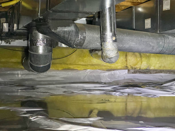 Best Water damage restoration company  in Wylie, TX